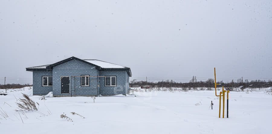 земля г Южно-Сахалинск с Дальнее ул Хрустальная фото 15