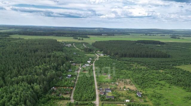 п Емельяново Гринбург СНТ, ул. Кедровая фото