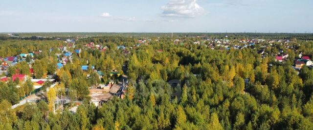 ул. 9-я, Сургут городской округ, Рябинушка СТ фото
