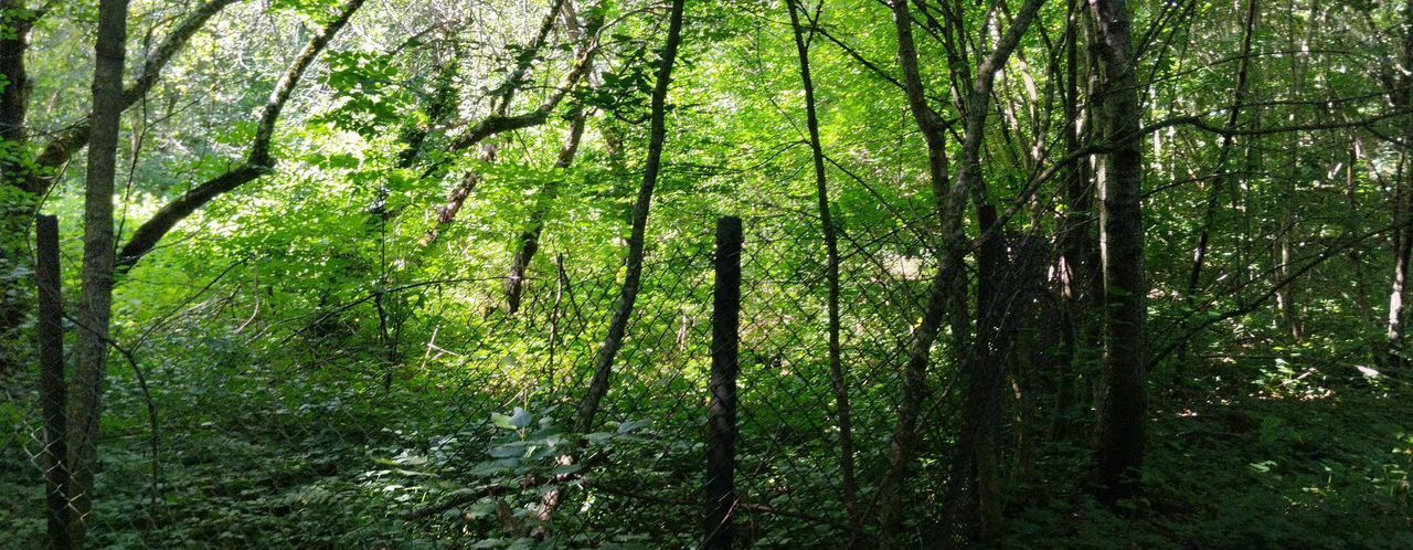земля р-н Туапсинский г Туапсе садовое товарищество Авангард фото 4