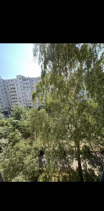 квартира г Курск р-н Центральный ул Хуторская 12б фото 11