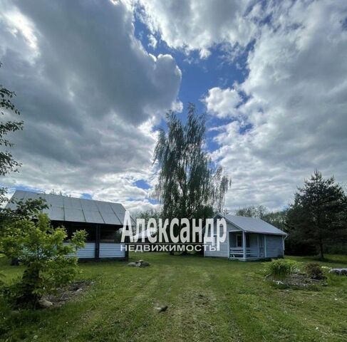 д Койчала Шумское с/пос, 19 фото