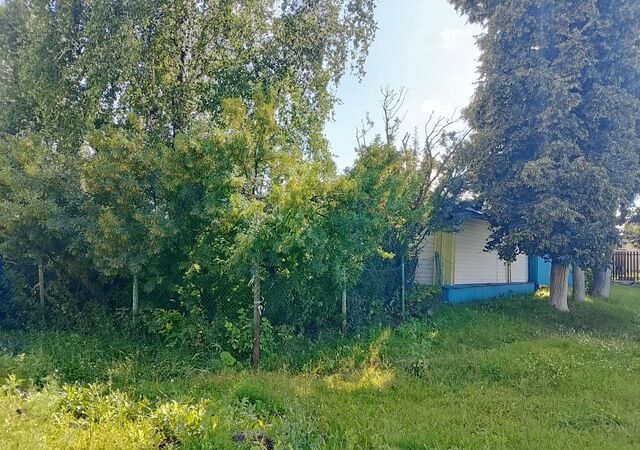 ул Трудовая 15 сельсовет фото