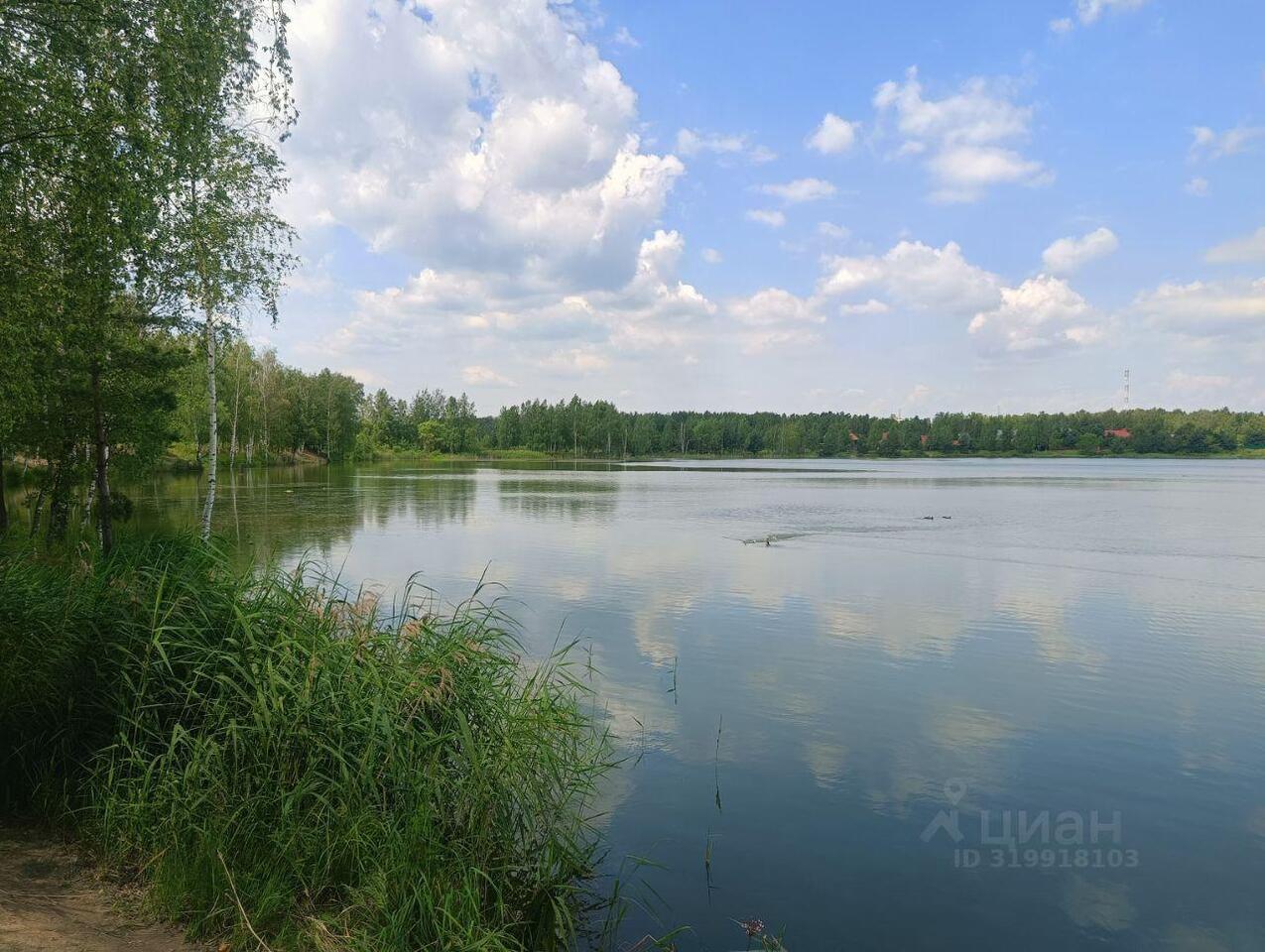 дом городской округ Богородский г Ногинск снт Буреломка-2 124, Черноголовка фото 27