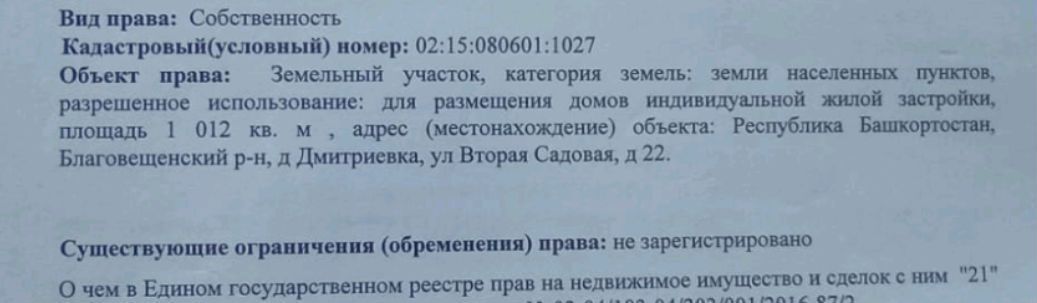 земля р-н Благовещенский г Благовещенск сельсовет, Вторая Садовая ул., 22, Николаевский, д. Дмитриевка фото 2