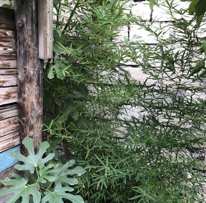 дом р-н Урванский г Нарткала ул Комсомольская 3 городское поселение Нарткала фото 18