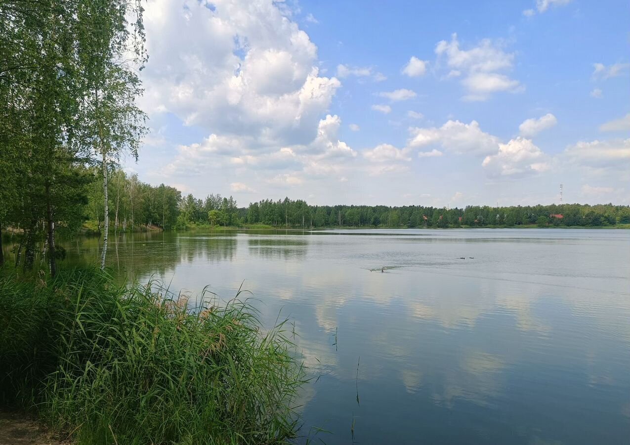 дом городской округ Богородский г Ногинск снт Буреломка-2 37 км, Черноголовка, Щёлковское шоссе фото 34