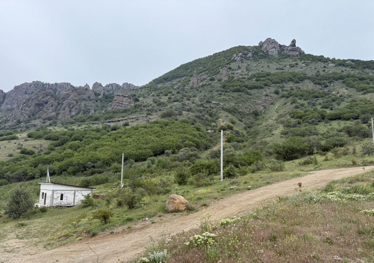 земля г Алушта с Лучистое ул Смешная фото 5