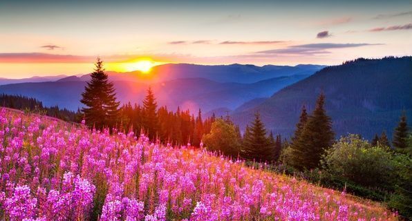 земля г Минусинск ул Национальная 13 фото 1