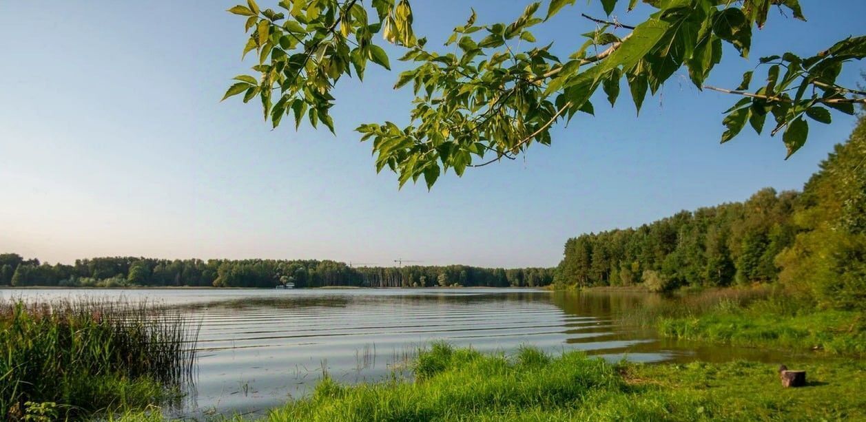 дом г Истра Грин Лаундж кп, 477 фото 31