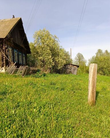 Большая Соснова фото