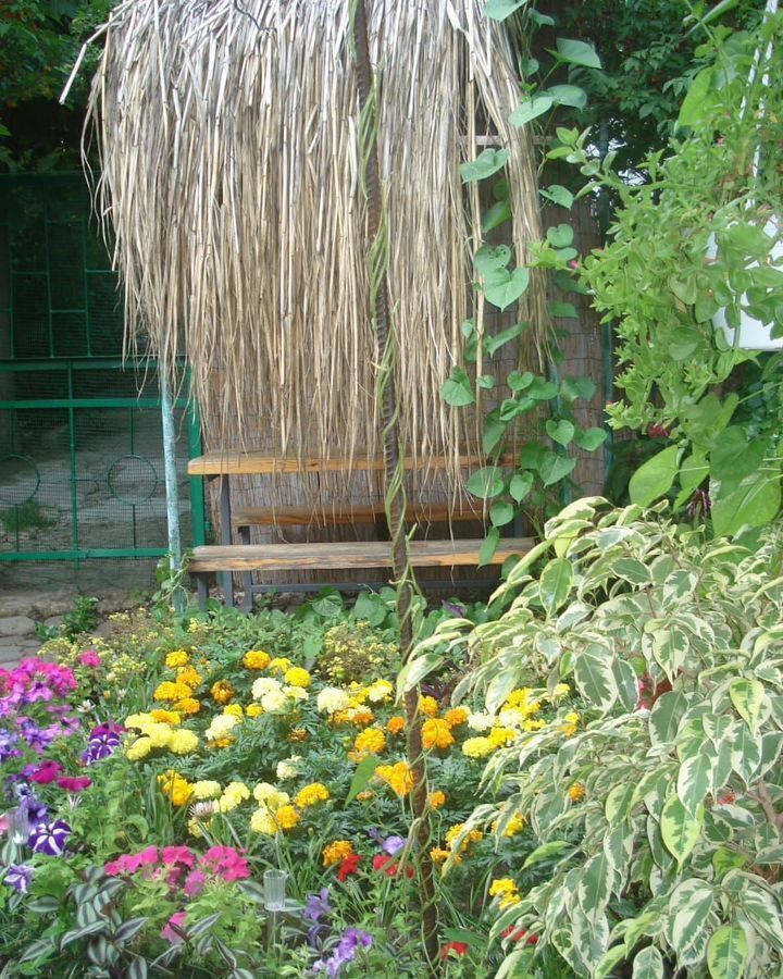 комната г Ялта пгт Береговое ул Кипарисная 35а г Алупка фото 10