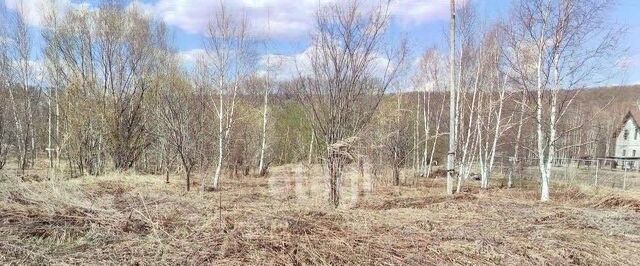 ул Таежная фото