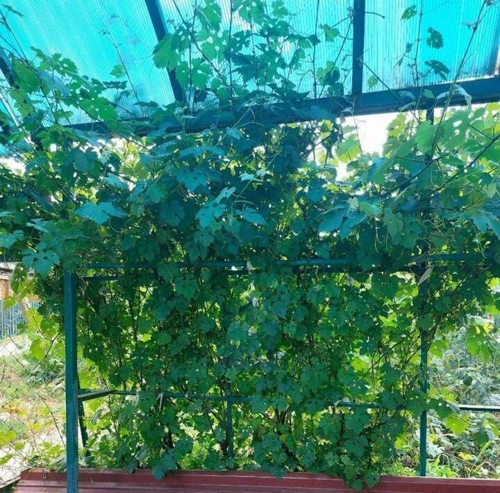 дом г Чебоксары р-н Калининский ул Бажова 26 фото 10