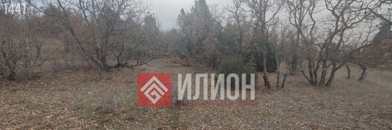 земля г Алушта с Приветное р-н курорт Канака фото 5