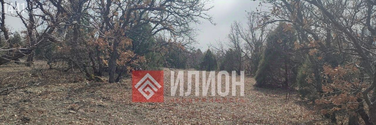земля г Алушта с Приветное р-н курорт Канака фото 7
