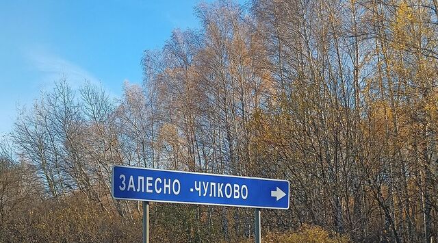 земля р-н Кораблинский д Залесно-Чулково ул Садовая Яблоневское с/пос фото