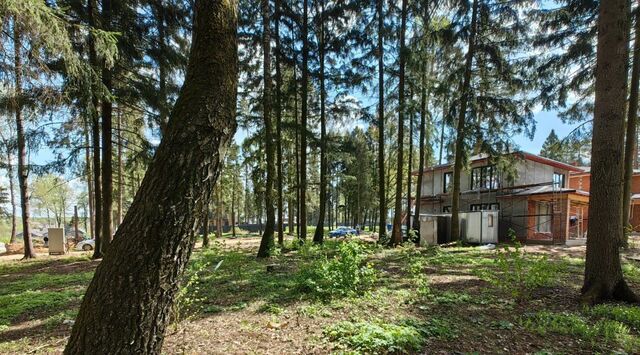 Сходня, Сходня Форест Парк кп фото