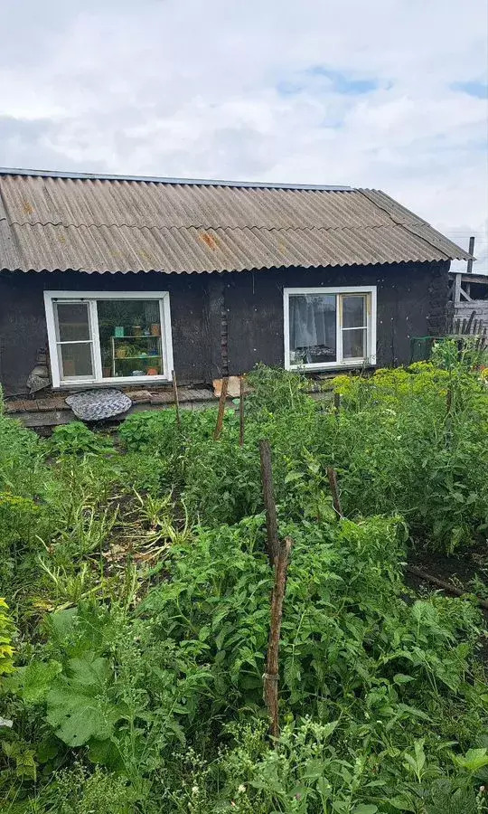 дом р-н Барабинский г Барабинск пер Степной 14 городское поселение Барабинск фото 3