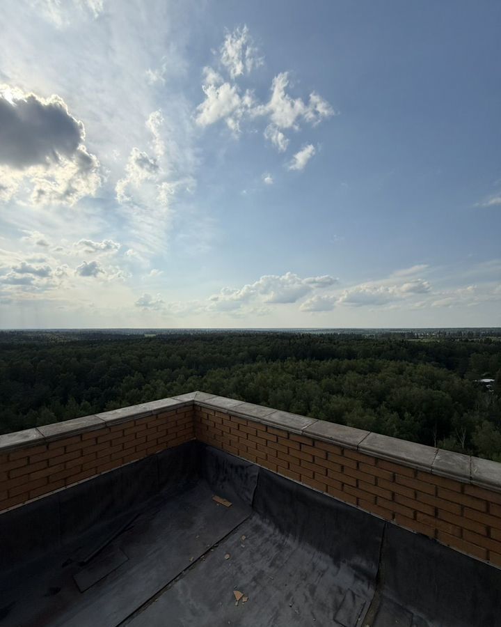 квартира городской округ Одинцовский г Звенигород ш Нахабинское 1к/3 ЖК «Лермонтовский (Звенигород)» фото 11