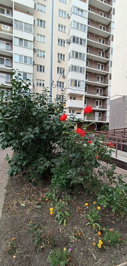 квартира р-н Анапский г Анапа ул Объездная 39 ЖК «Красная Площадь (Анапа)» фото 3