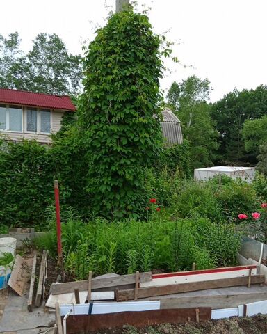 с Черная Речка снт Авангард Клубничная ул., 44, Восточное фото