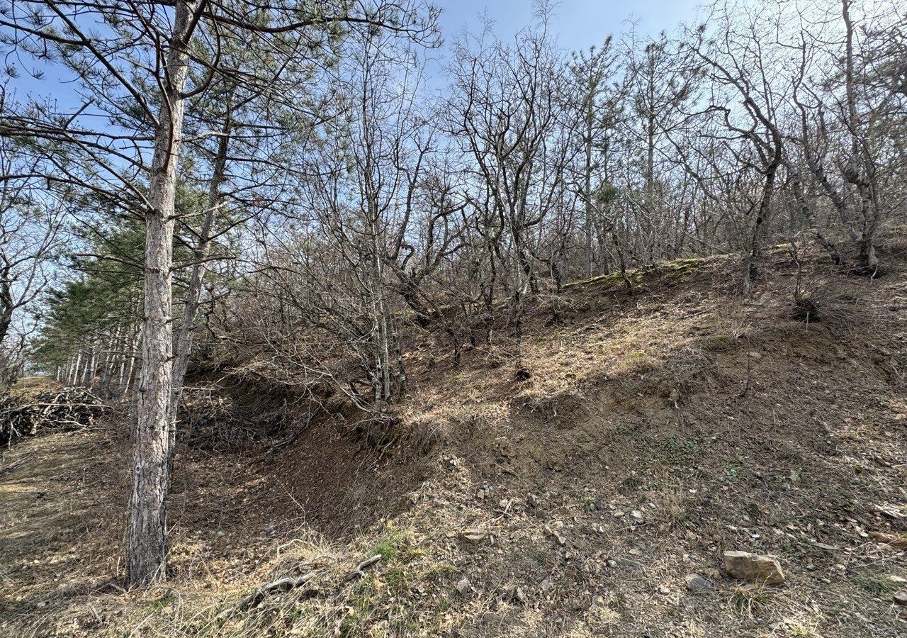 земля г Алушта п Семидворье фото 9