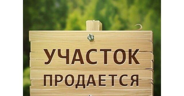 Усть-Илимский муниципальный округ фото