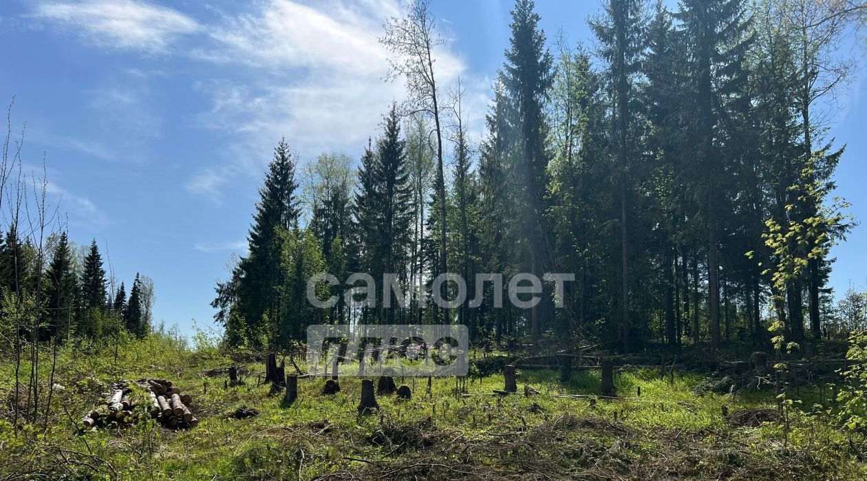 земля г Березники ул Семейная фото 4