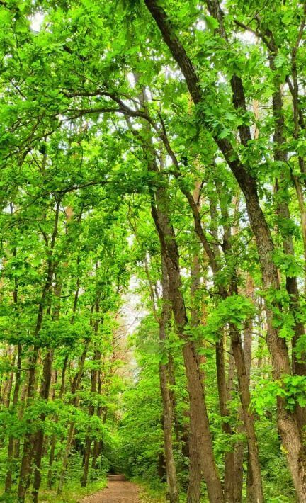 земля г Калининград р-н Московский За<текст-удален>ер фото 5