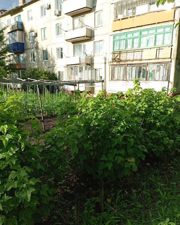 квартира г Райчихинск ул Победы 68б фото 29