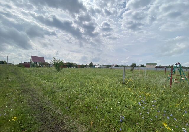 150 км, садовое товарищество Кораблёвка-3, Серебряные Пруды, Каширское шоссе фото