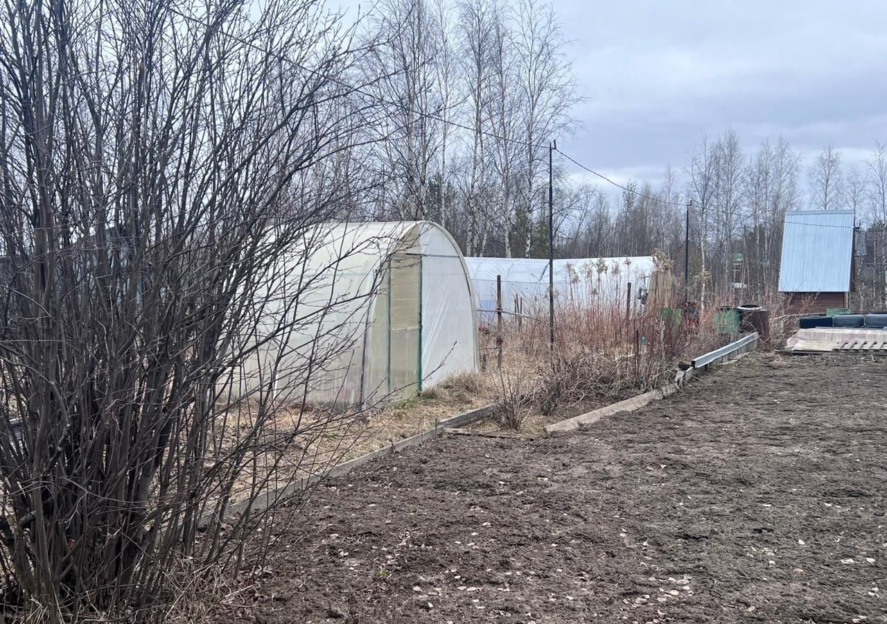 дом г Мегион снт Кедр 1 пр-д Ореховый 4 Тюменская обл., садово-огородническое товарищество фото 14