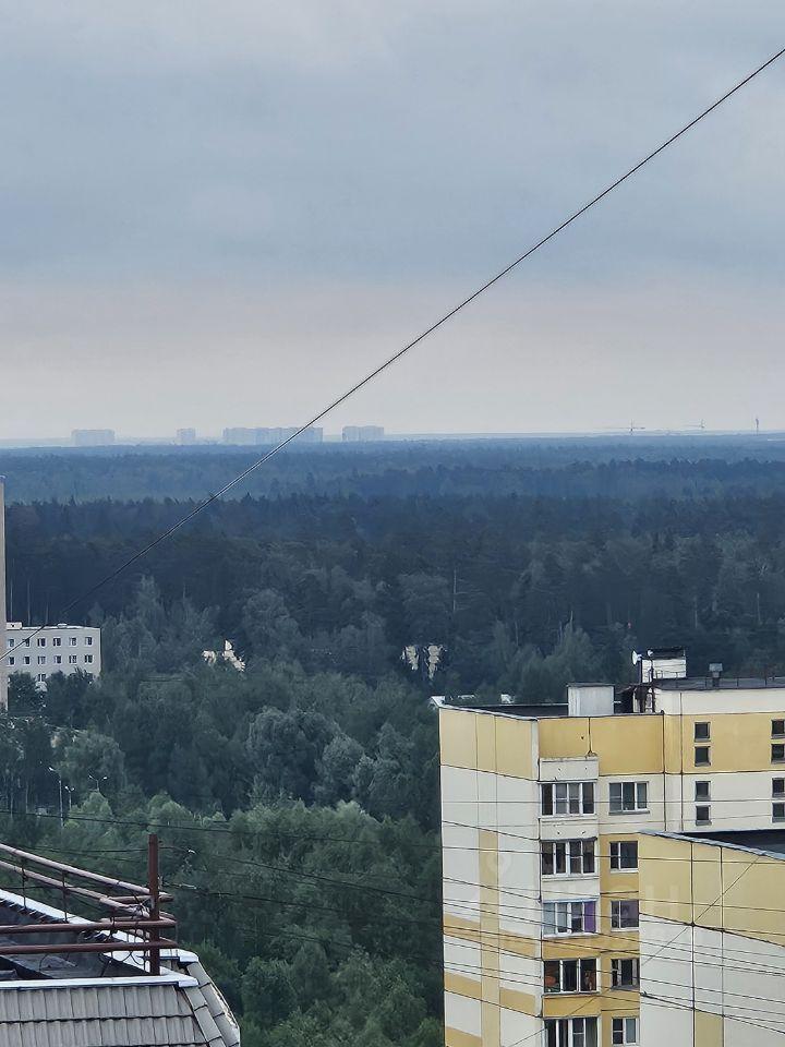 квартира г Балашиха ул Трубецкая 102 Микрорайон №22 фото 4