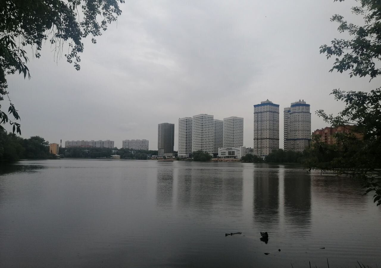 квартира г Пушкино пр-кт Московский 57к/1 г. о. Пушкинский фото 37