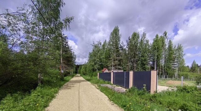 п Дружная Горка днт Лесовод фото