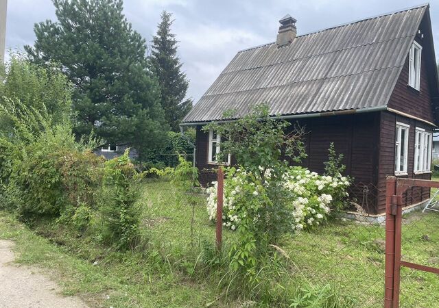 37 км, СНТ Кинохроникёр, 49, Дмитровское шоссе фото