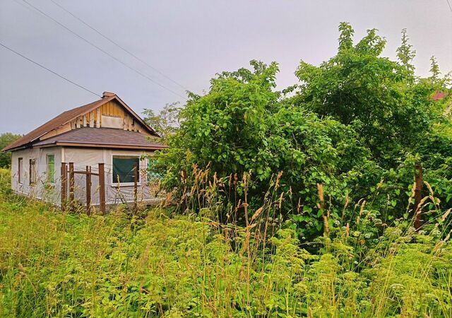 ш Кингисеппское Таллинское шоссе, 100 км, Ивангородское городское поселение фото
