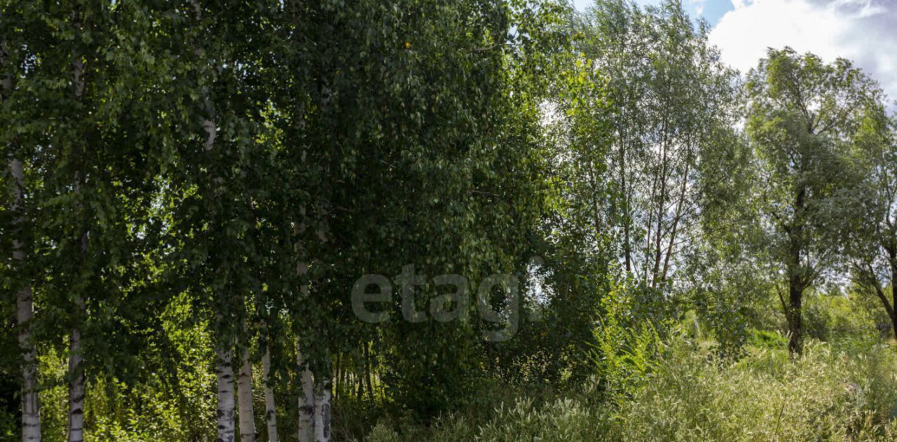 земля г Новокузнецк р-н Орджоникидзевский ш Притомское фото 12