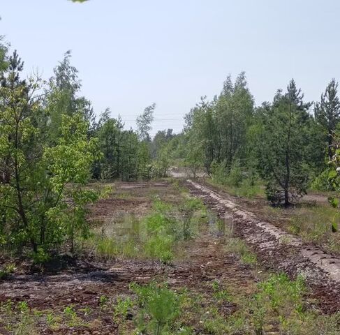 д Жилетово ул Солнечная с пос фото
