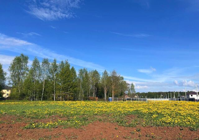 38 км, КП Калистово, Ярославское шоссе фото