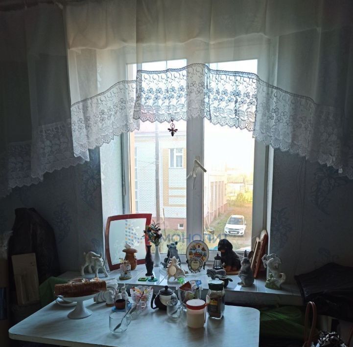 квартира г Нижний Новгород р-н Нижегородский ул. Парковая, 25, д. Афонино фото 3