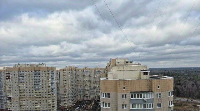 метро Щелковская ул Спортивная 1 Московская область, Балашиха фото
