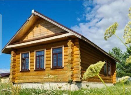 р-н Селивановский д Большое Григорово Чертковское муниципальное образование фото