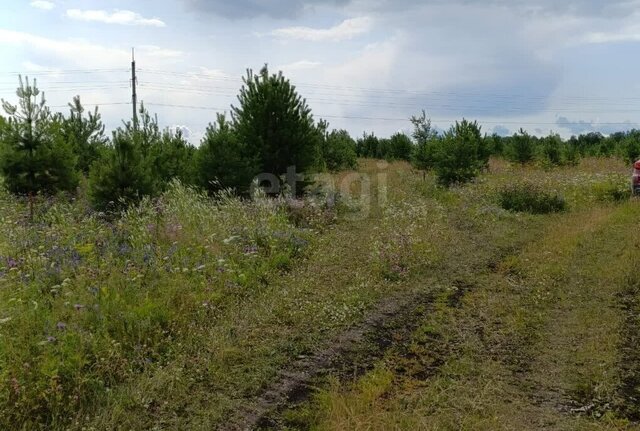 земля ул Лазуритовая фото