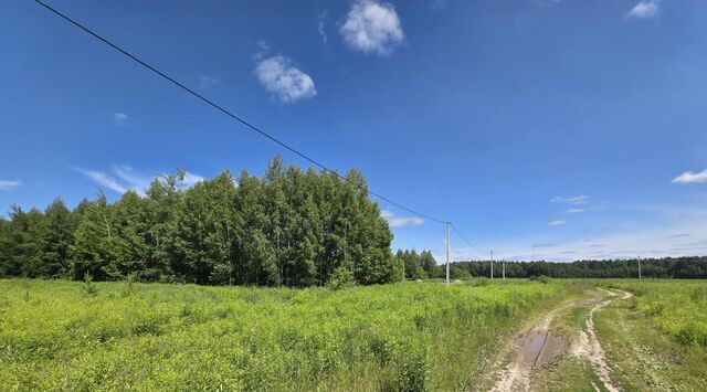 Городецкий муниципальный округ фото