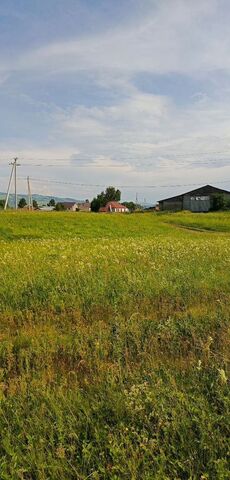 Республика Алтай, Майма фото