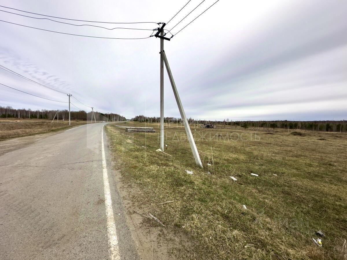 земля городской округ Одинцовский г Звенигород ГП-3, 100 фото 1