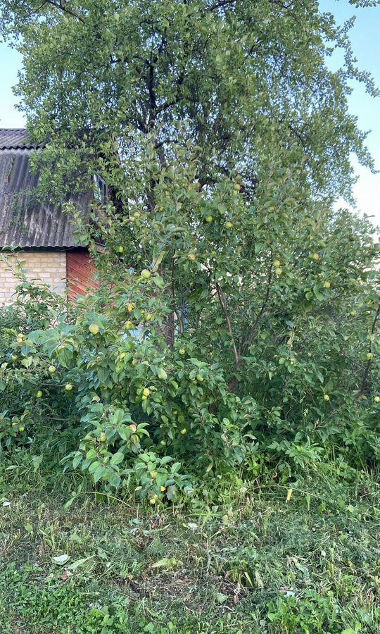 дом г Кушва п Баранчинский Кушвинский муниципальный округ, садово-дачное товарищество БЭМЗ-3 фото 8