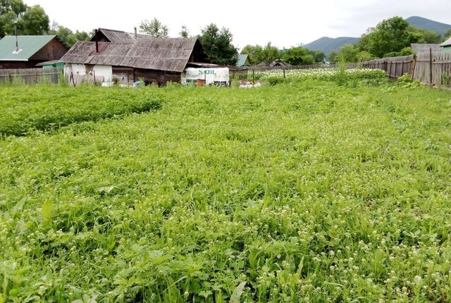с Авангард ул Олега Кошевого 7 фото